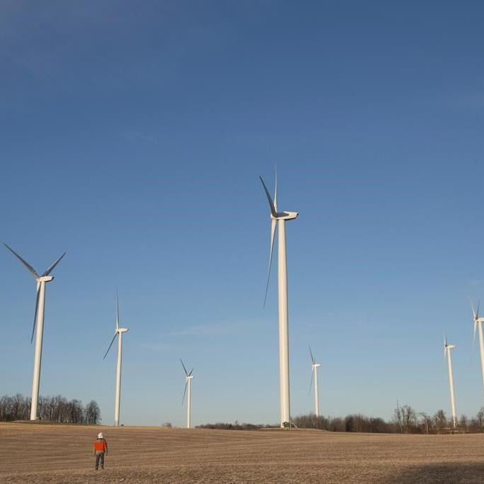 Quebec introducing new rule to reduce bat deaths linked to wind farms